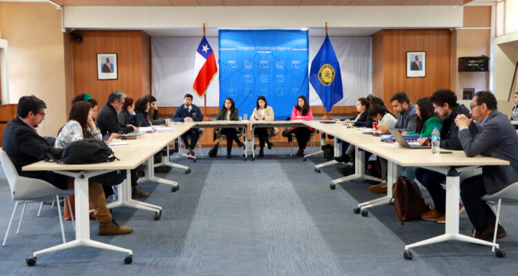 falta seremis los lagos