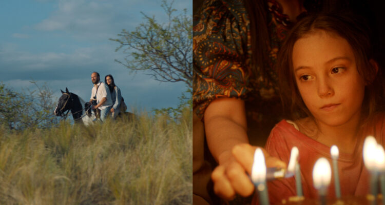 Festival de Cine de Viña del Mar celebra aniversario 60 con muestra de películas al aire libre