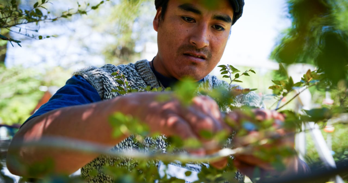 Indap anuncia financiamiento de $580 millones para proyectos sustentables de jóvenes rurales
