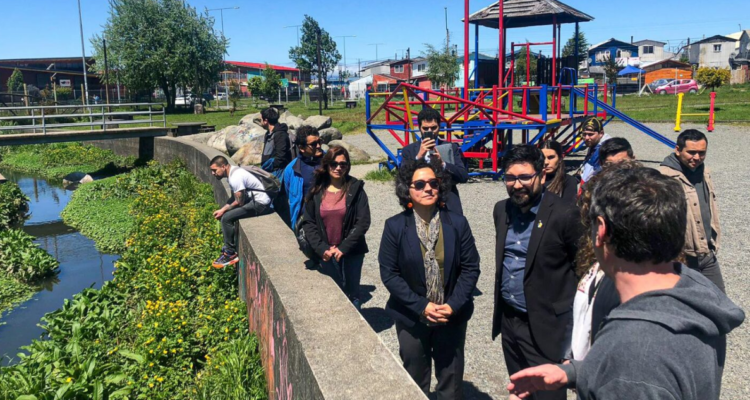 Declaran como humedal urbano al Parque Mirasol de Puerto Montt, en la región de Los Lagos, sumándose a los más de 100 a nivel nacional, de los cuales 22 corresponden a esta región.