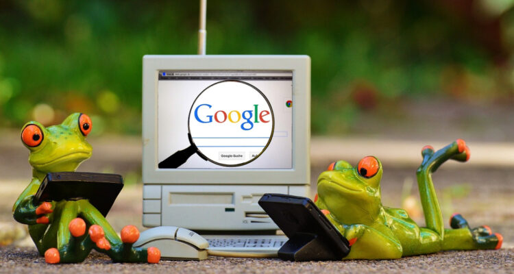 Google invierte millonaria suma en plataforma para la recuperación de ecosistemas