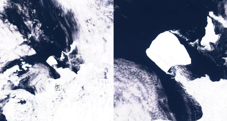 El iceberg más grande del mundo comenzó a moverse tras 30 años estancado: mide casi 4.000 km2