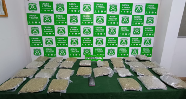 Incautan $120 millones en drogas tras fiscalización Antofagasta