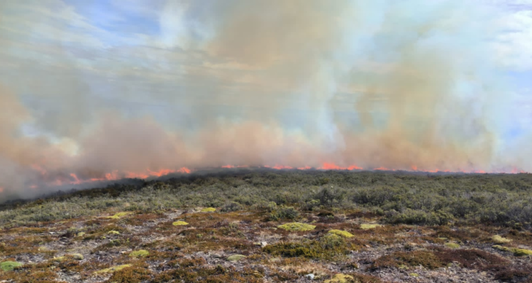 incendio forestal porvenir