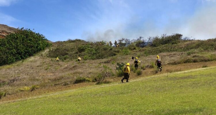 Declaran Alerta Roja por incendio forestal en Isla de Pascua: Conaf reporta 4 hectáreas quemadas