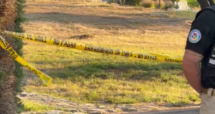 asesinato la florida