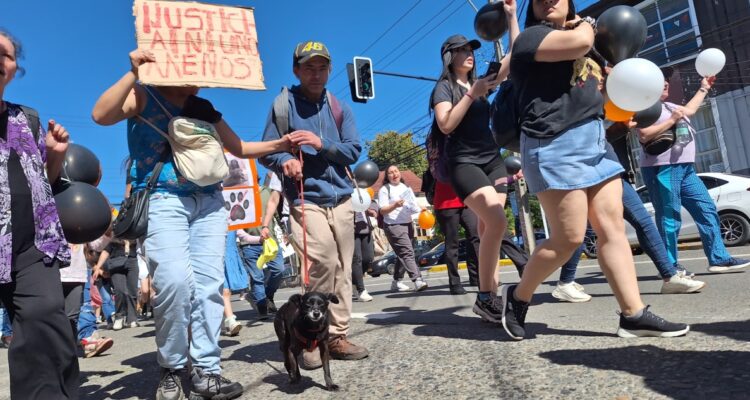 Marcha para exigir justicia por muerte de perros en Valdivia