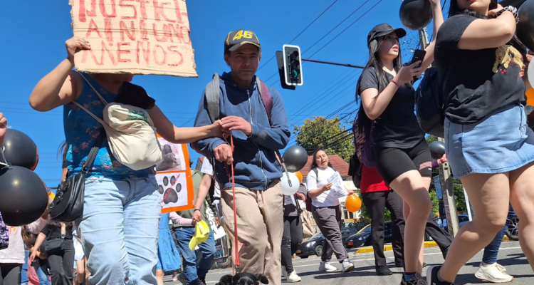 Marchan por perros comunitarios en Valdivia