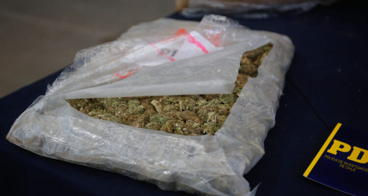 Marihuana por encomienda decomisan 14 kilos de droga que serían enviados por Chilexpress de Alerce