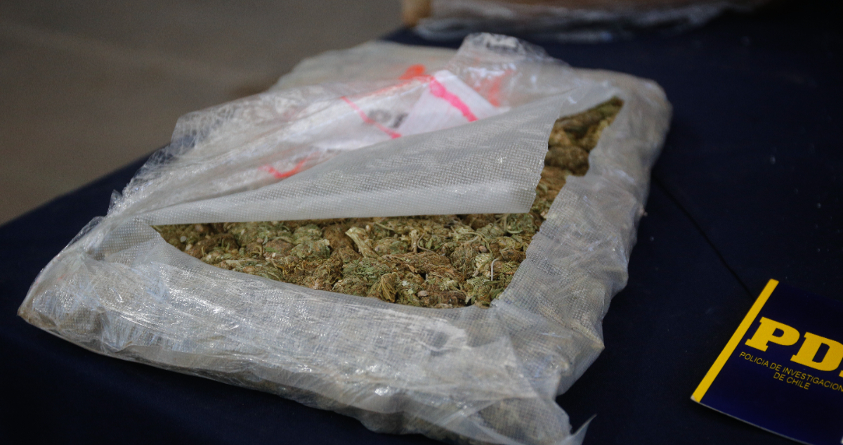 Marihuana por encomienda decomisan 14 kilos de droga que serían enviados por Chilexpress de Alerce