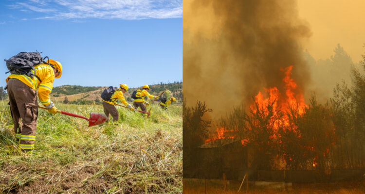 Indap y Conaf lanzan video con cinco medidas para prevenir incendios en un predio