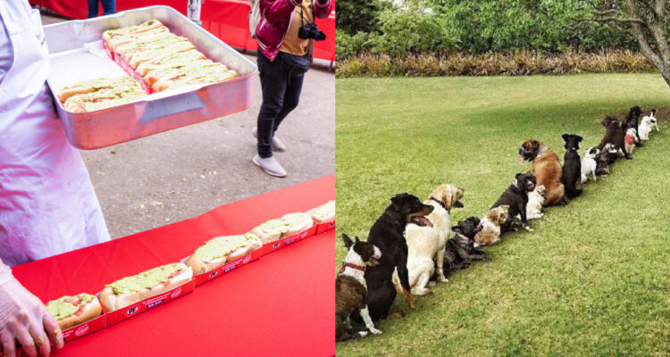 Completo más grande del mundo de Talca dejó varios memes.