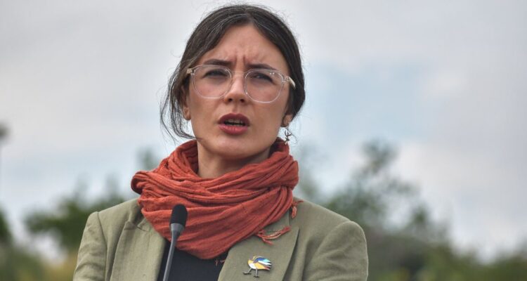 Vallejo desdramatiza llamado en consulta de embajador en Israel: “Son prácticas normales y naturales”