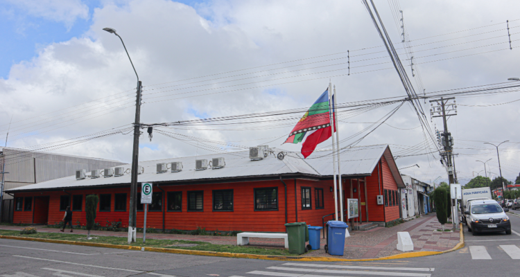 Municipalidad Renaico TER