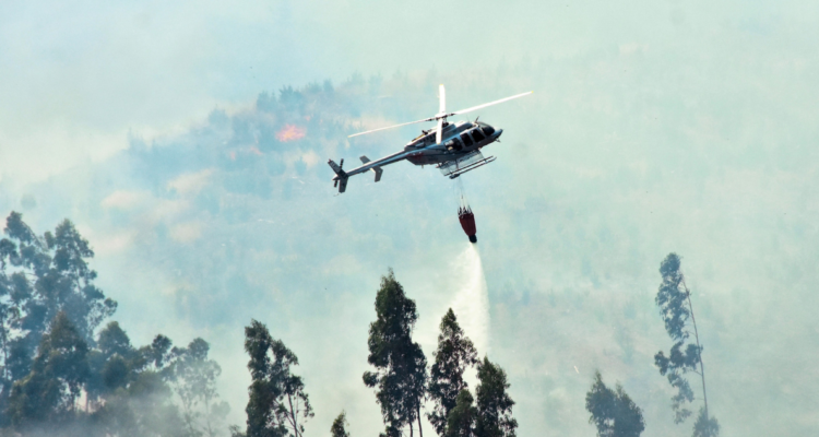municipios Araucanía incendios forestales