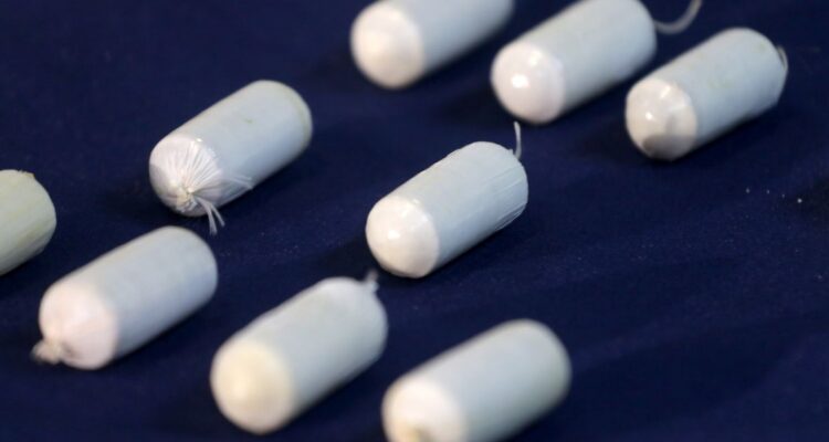 Detienen a pareja que transportaba 181 ovoides con cocaína en su estómago en terminal de Antofagasta