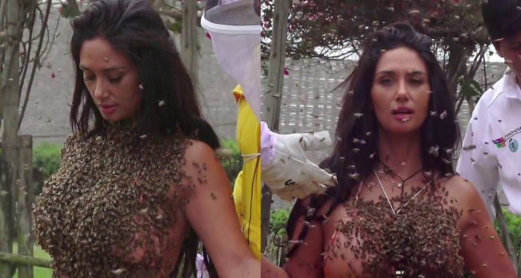 Pamela Díaz y su traje de abejas en Tierra Brava
