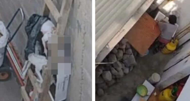 Un video en redes sociales denunció un supuesto faenamiento de perros en un restaurante en Calama, por lo que la Seremi instruyó un sumario sanitario.