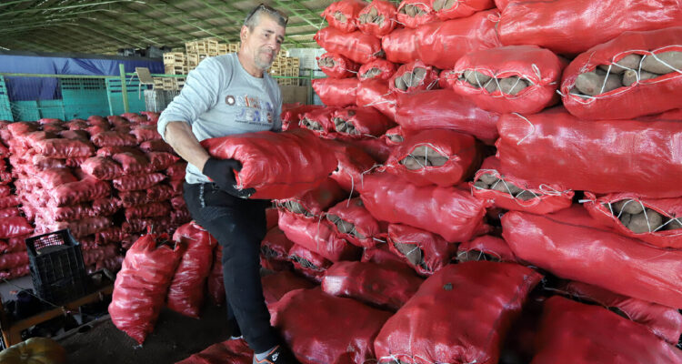 hombre cargando sacos de papas