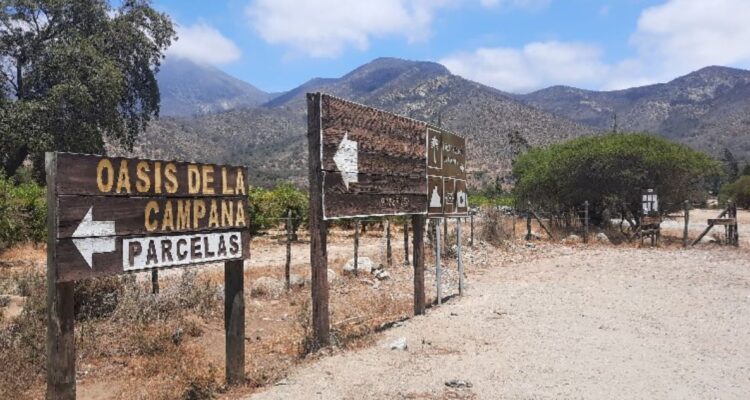 Inmobiliaria demanda a civiles por $10 mil millones tras “devaluar” proyecto con denuncia a la SMA