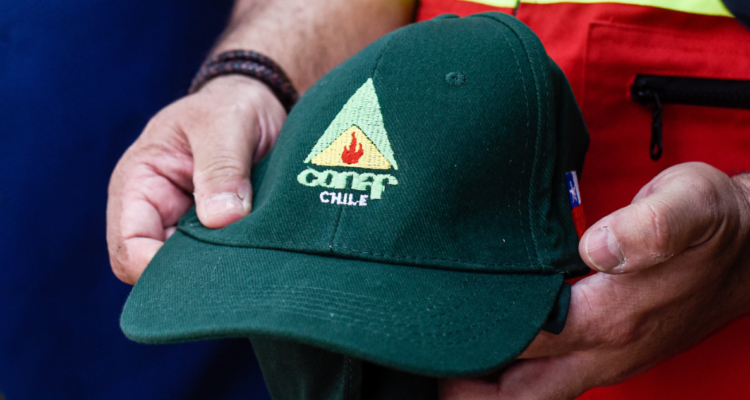 quemas controladas en Los Lagos