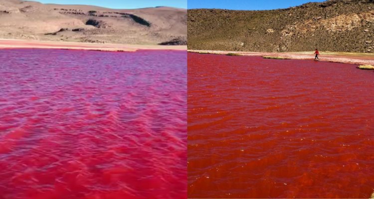¿El Nilo se tiñó de rojo? Explicación a video viral que anunciaba 