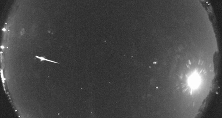 Eventos astronómicos de noviembre 2023: lluvia de Táuridas, Leónidas y Júpiter muy cerca de la Tierra