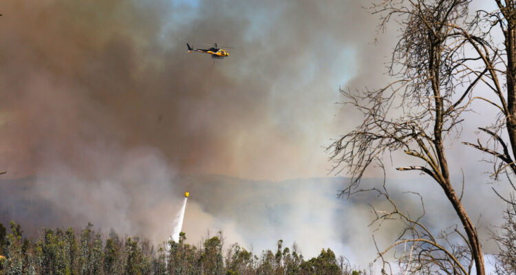 Provincia del Bío Bío: autoridades se reúnen y evalúan planes de prevención por incendios forestales