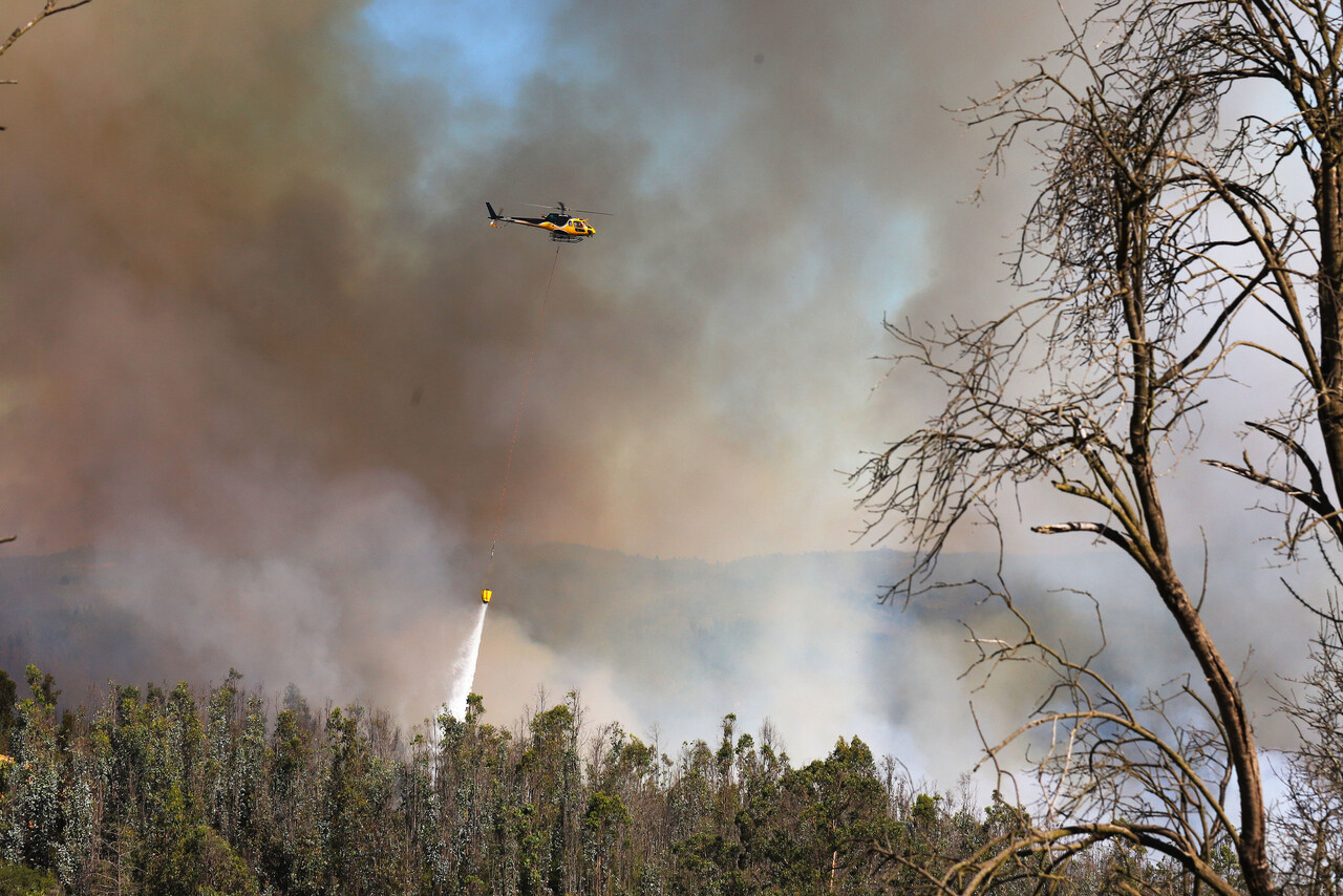 Provincia del Bío Bío: autoridades se reúnen y evalúan planes de prevención por incendios forestales