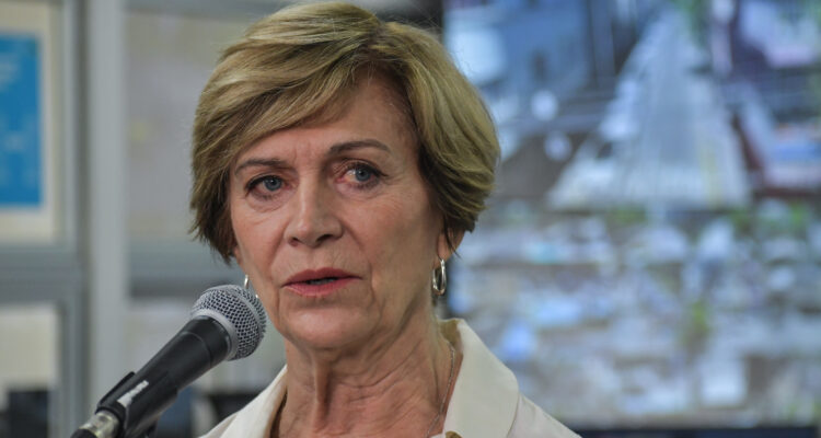 “En algún momento pensé votar en contra”: Matthei responde a críticas de Luis Silva por llegar tarde