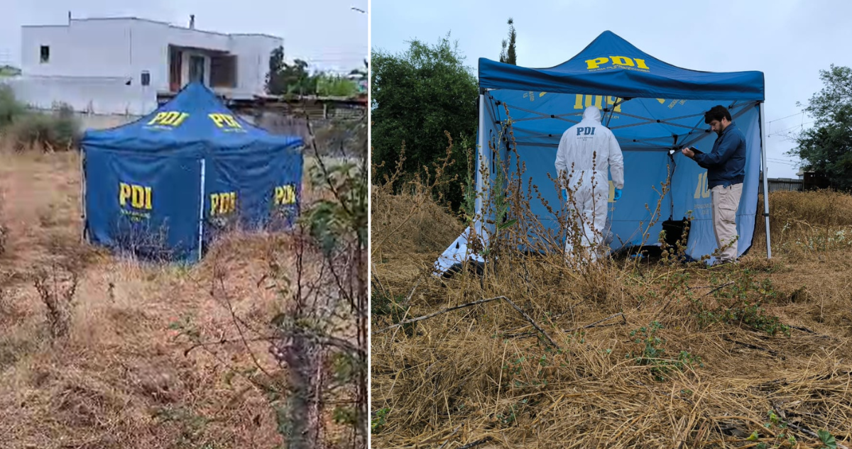 Dos detenidos por homicidio de hombre en Quillota