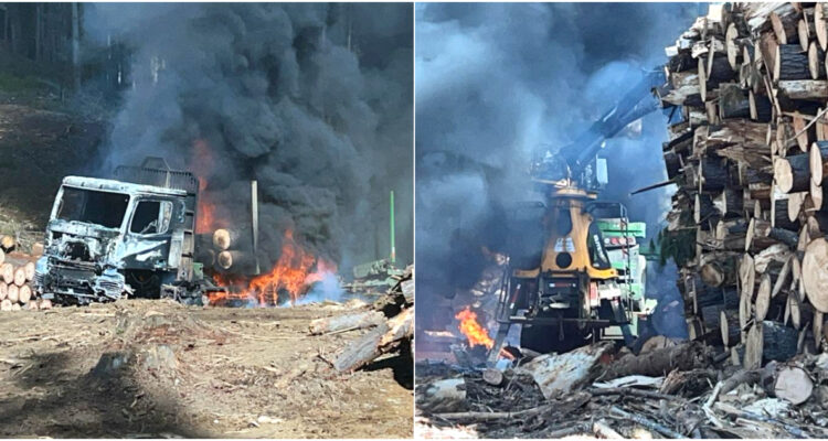 Al menos cuatro camiones y dos maquinarias forestales quemadas deja ataque incendiario en Contulmo