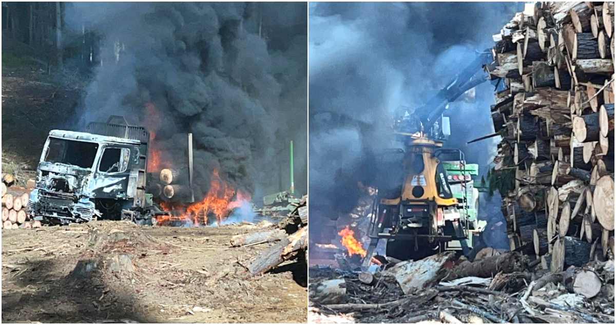 Al menos cuatro camiones y dos maquinarias forestales quemadas deja ataque incendiario en Contulmo