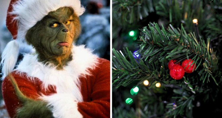 Falta de oferentes: comunidad manifiesta disconformidad por falta del árbol navideño en Los Ángeles