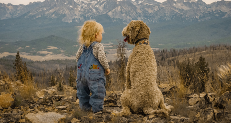 Fortalecimiento emocional y del sistema inmunitario: los beneficios de crecer junto a una mascota