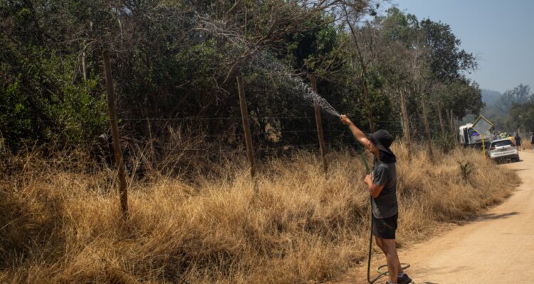 Conaf advierte sobre condiciones favorables para incendios forestales