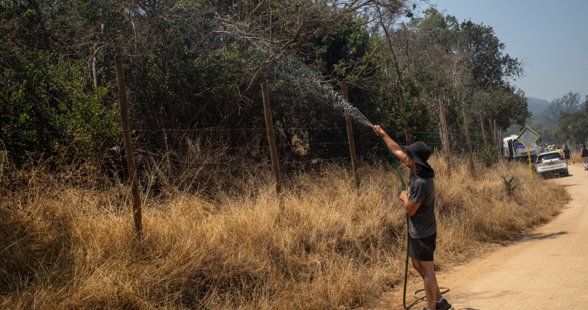 Conaf advierte sobre condiciones favorables para incendios forestales