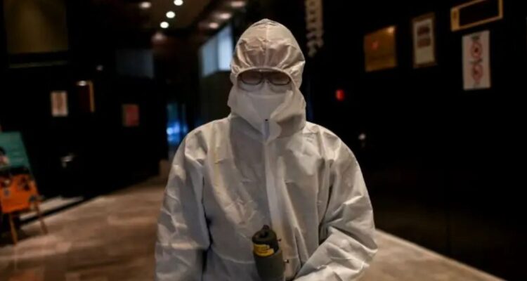 Qué es el ántrax, cómo se contagia y cuáles son los síntomas de la mortal enfermedad y por qué la OMS emitió una alerta por brote.