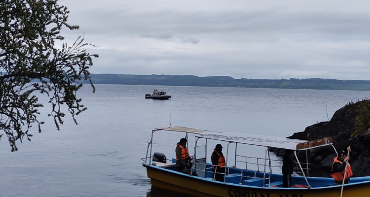 búsqueda Lago Ranco