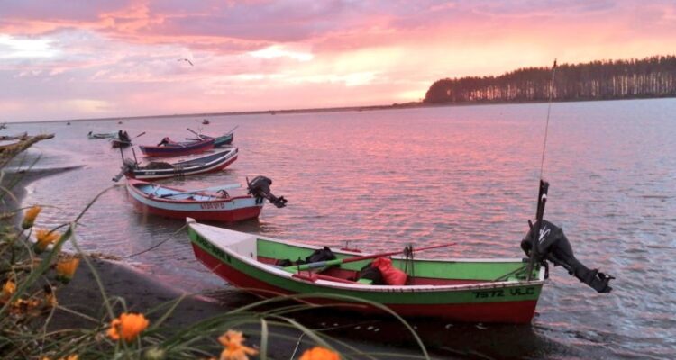 ARCHIVO | Seremi de Economía de La Araucanía