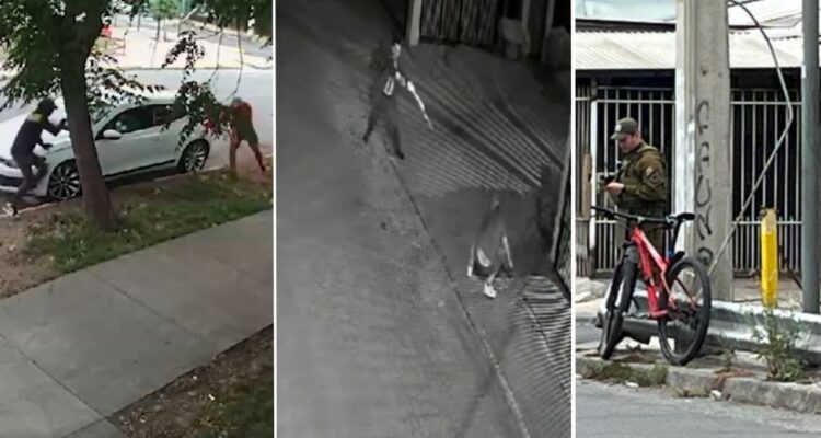 “Cumplieron su deber”: Gobierno respalda a policías que usaron armas durante encerrona y asaltos