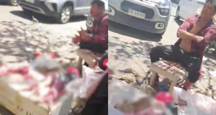 Los despellejaba en el lugar: captan a sujeto vendiendo conejos faenados en vía pública en Valparaíso