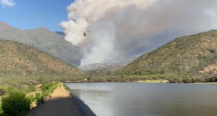Más de mil hectáreas ha consumido incendio forestal en Quilpué: comuna está en Alerta Amarilla