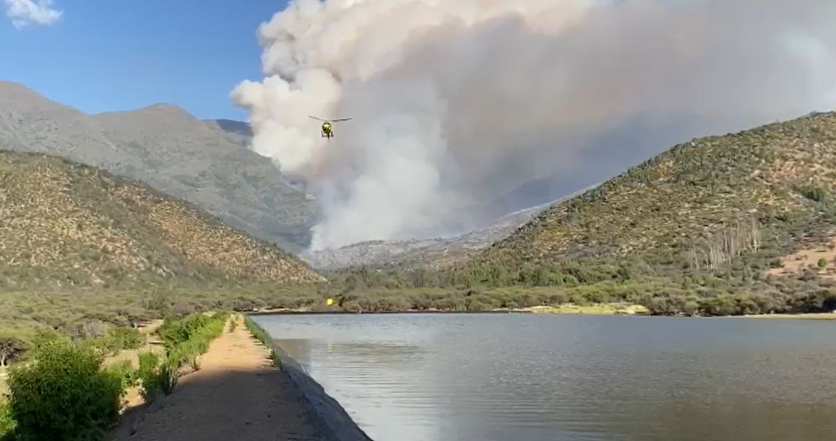 Más de mil hectáreas ha consumido incendio forestal en Quilpué: comuna está en Alerta Amarilla