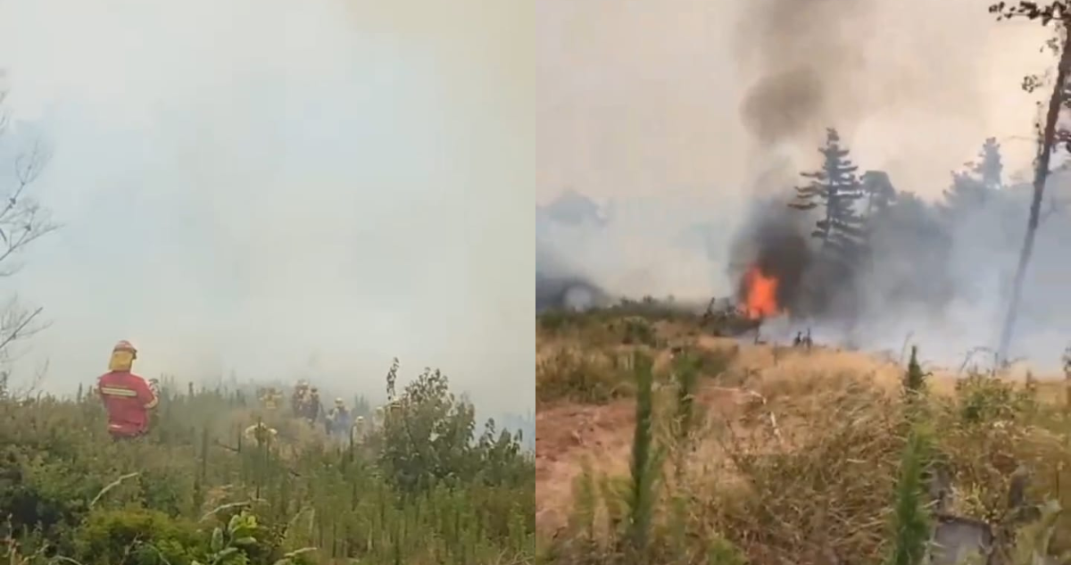 Declaran Alerta Roja para Valparaíso por incendio forestal: hay amenaza directa a viviendas