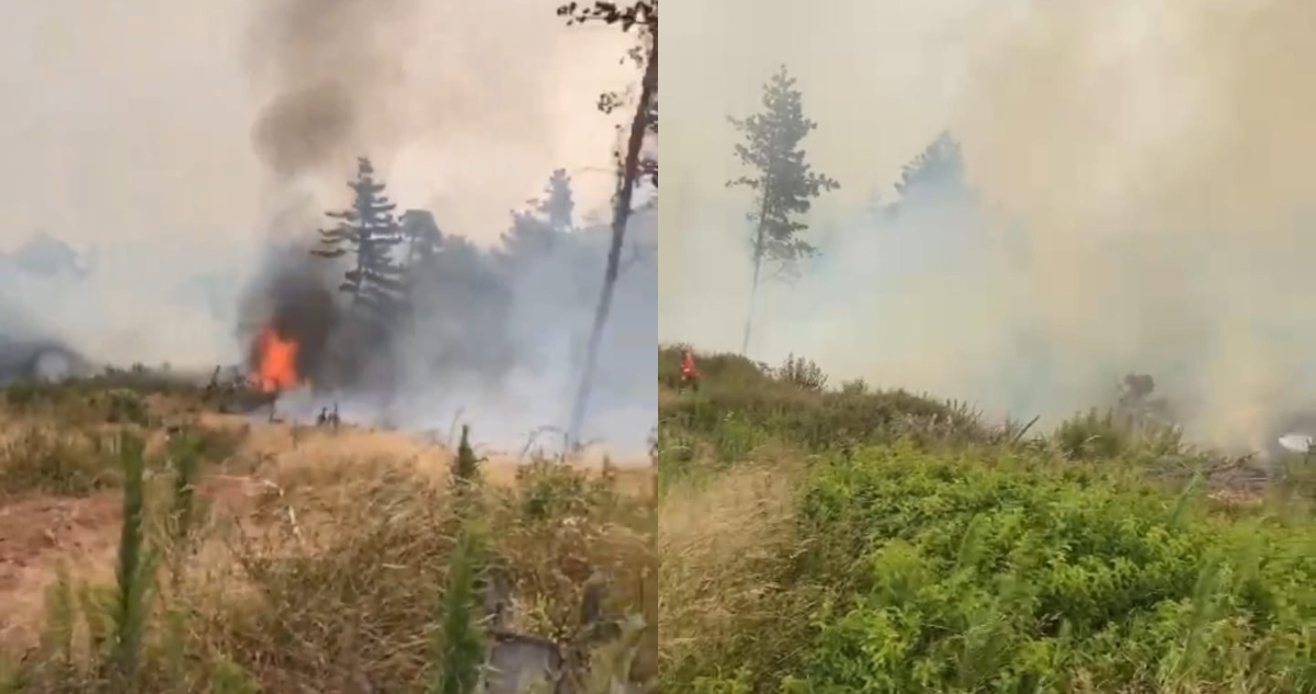 Solicitan evacuar 50 viviendas en dos sectores de Valparaíso por incendio forestal: hay Alerta Roja