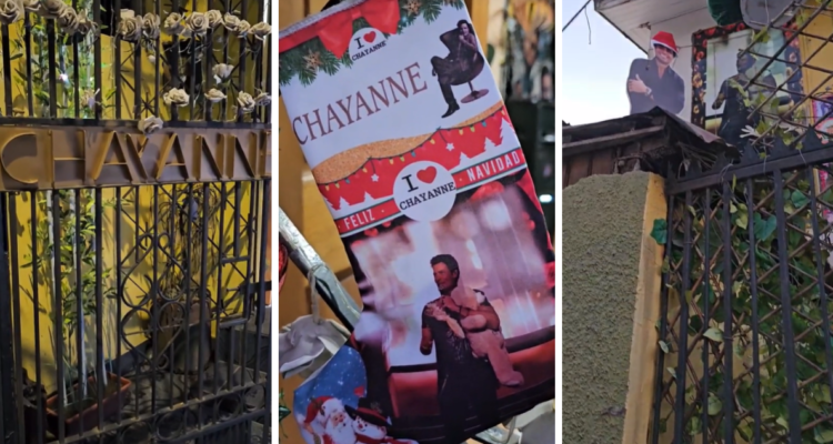 La “Chayacasa” existe y está en Rancagua: mujer decoró su casa con adornos y discos de Chayanne