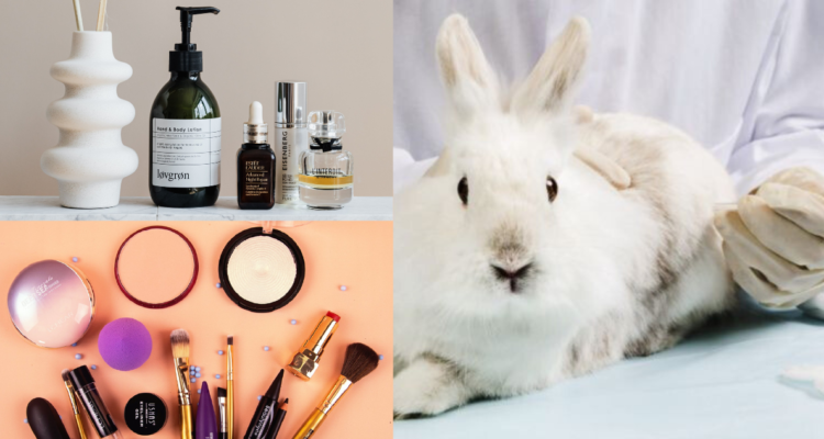 Chile prohíbe la experimentación de cosméticos en animales: se juntaron más de 300 mil firmas