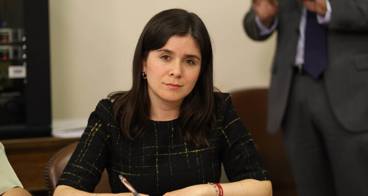 Crisis de Seguridad: Diputada Barchiesi busca que buses interurbanos acrediten identidad de pasajeros