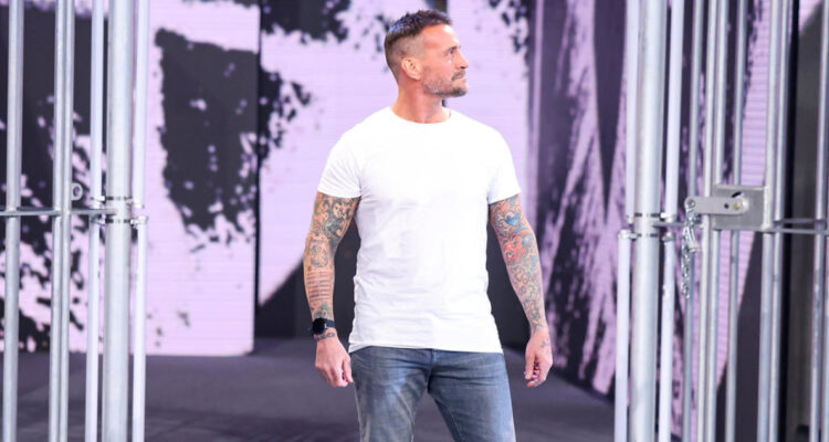 CM Punk agente libre WWE